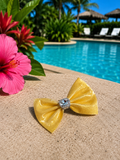Piggy size pool bow