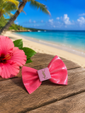 Piggy size pool bow