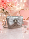 Inspired silver purse
