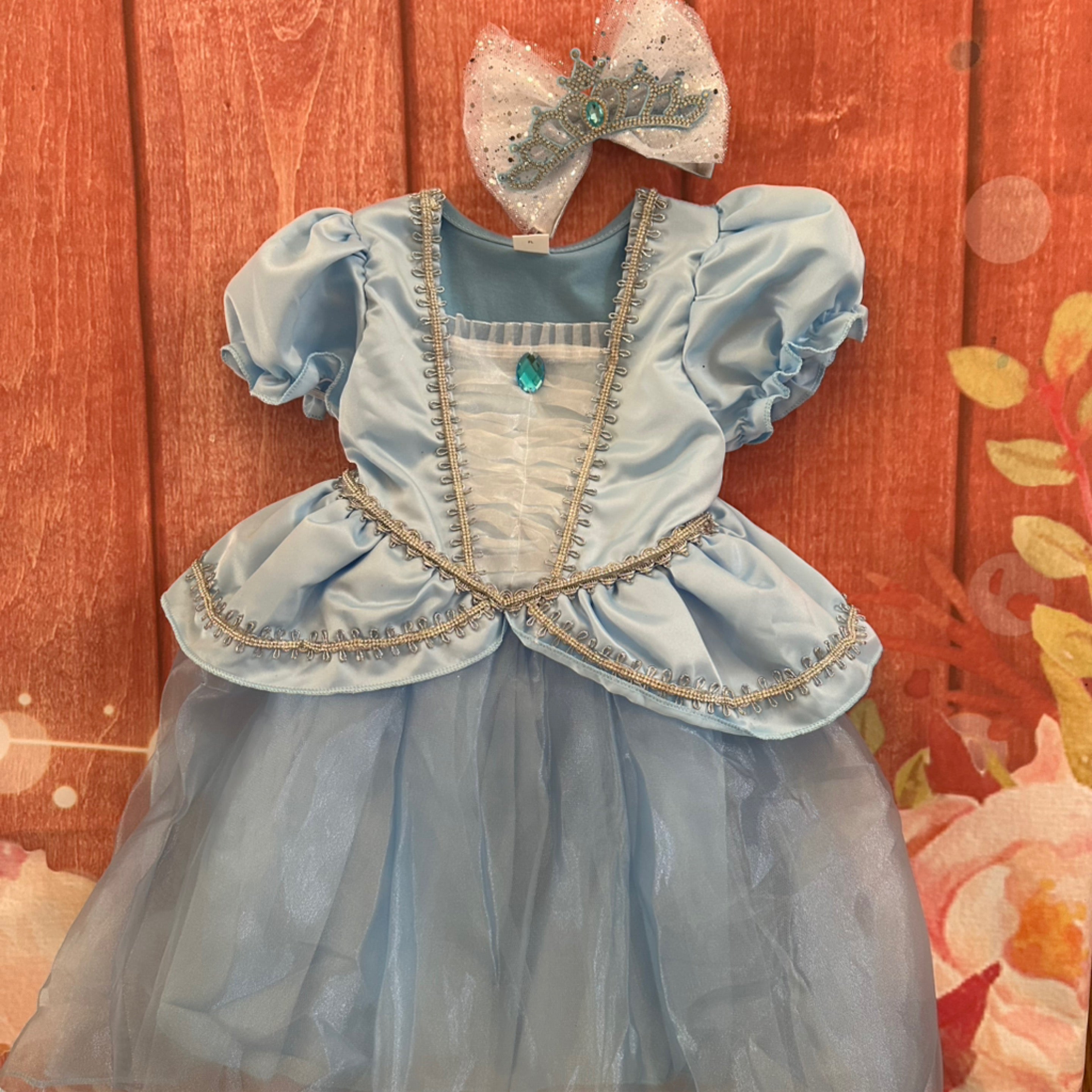 18/24 Cinderella costume dress on sale