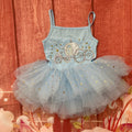 Cinderella tutu leotard dress