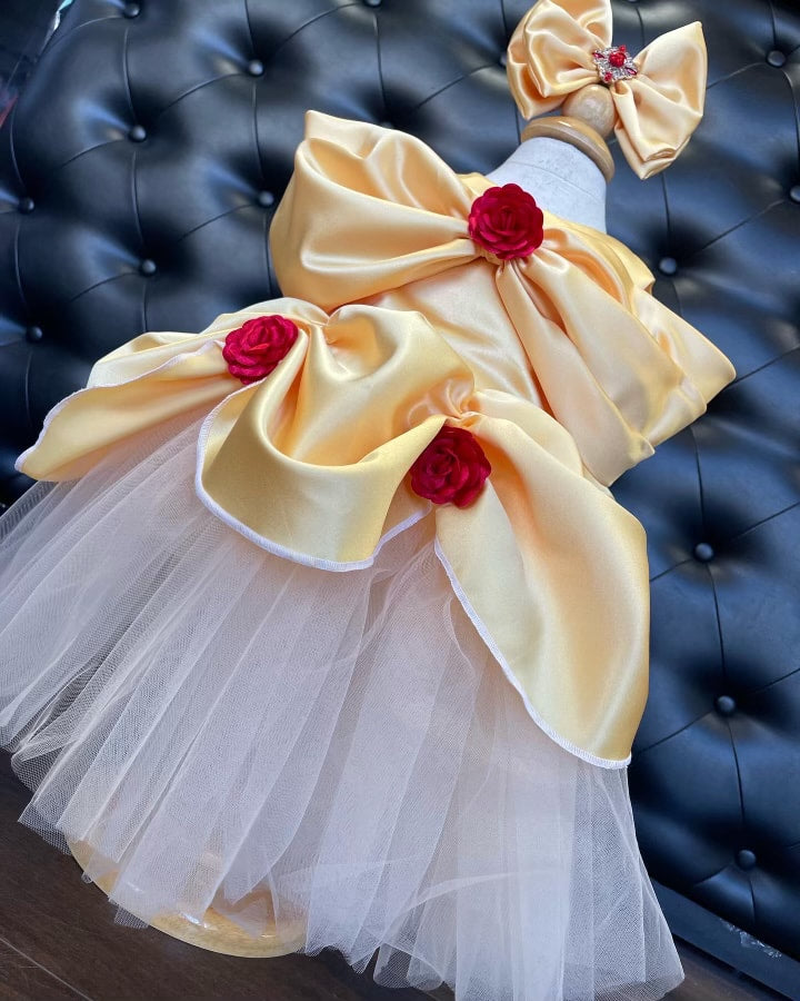 Belle dress
