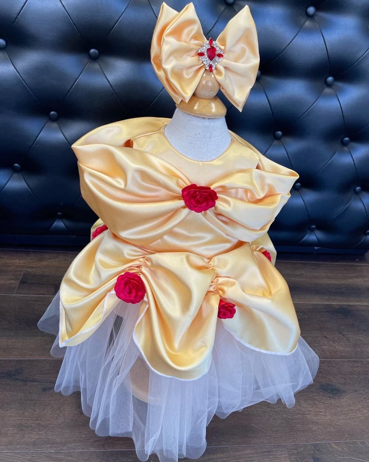 Belle dress