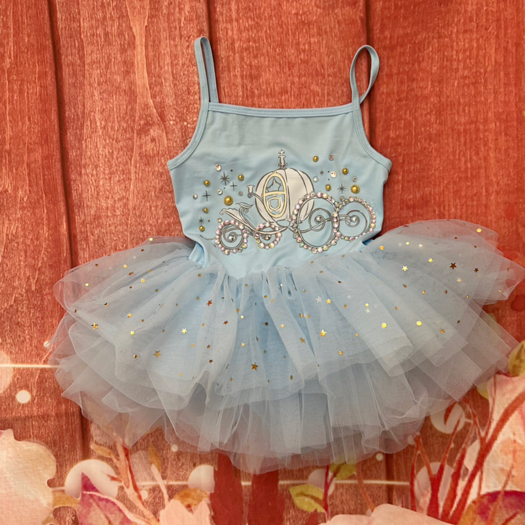 Cinderella tutu leotard dress
