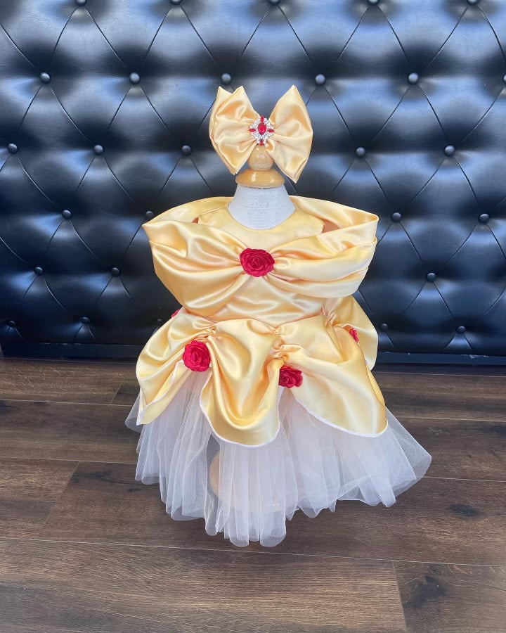 Belle dress