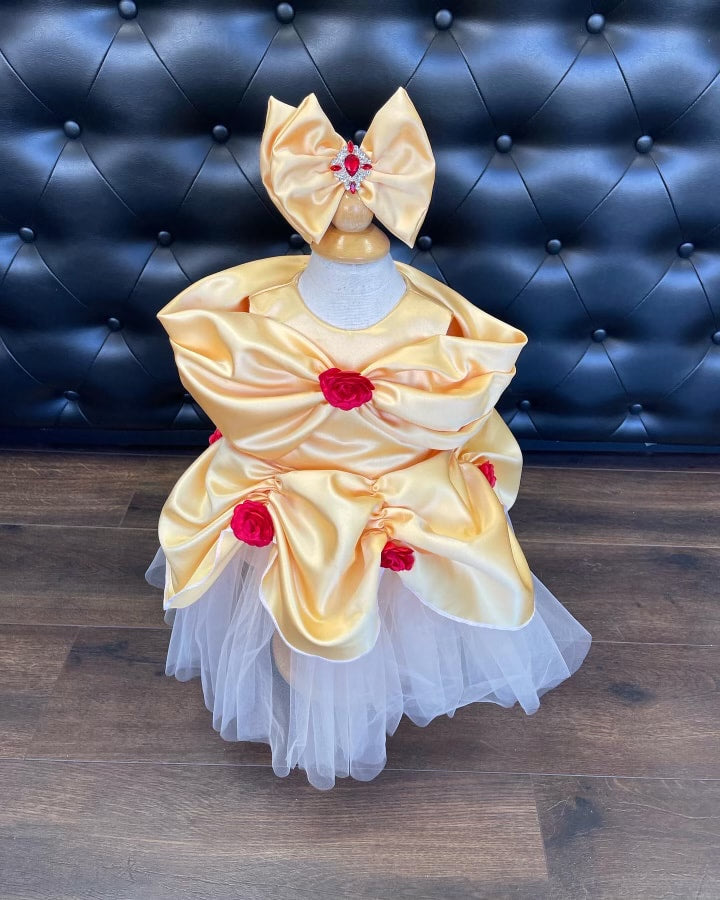 Belle dress