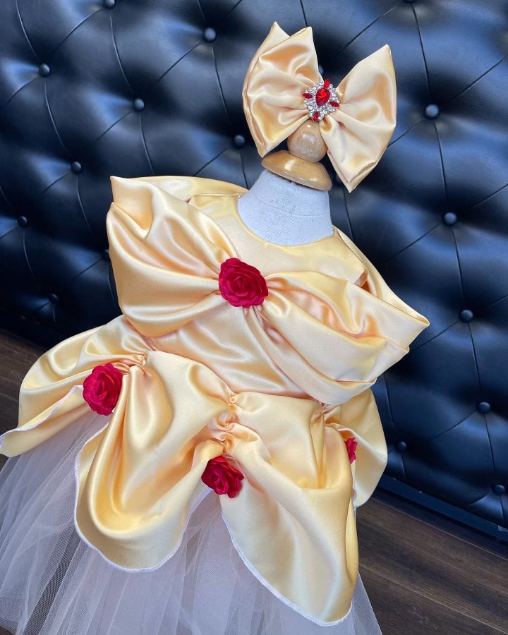 Belle dress