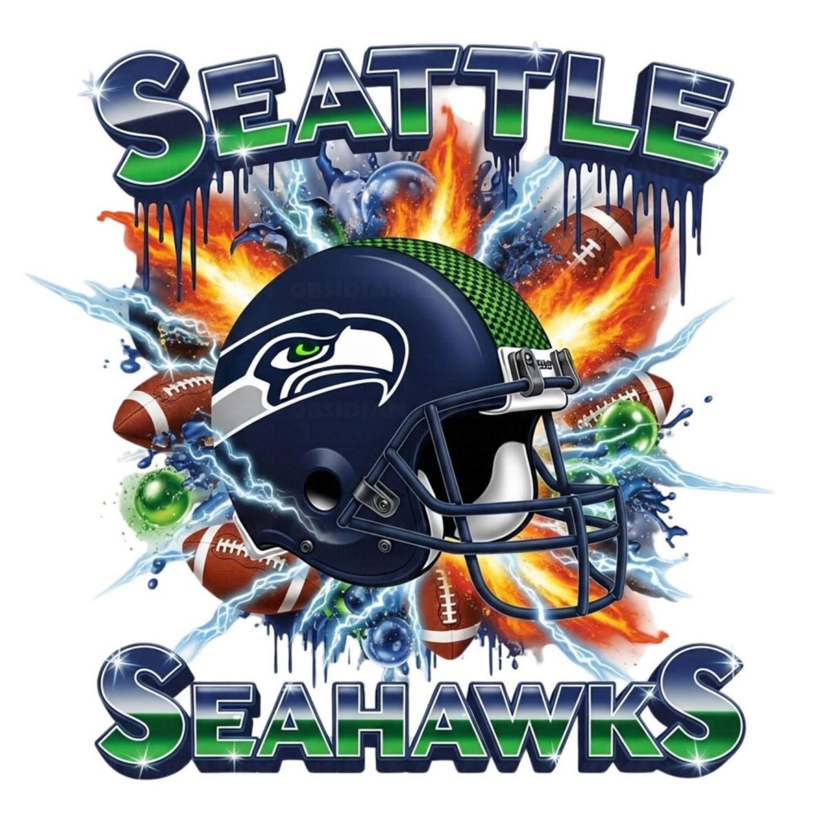 Pre order Seahawks long sleeve t shirt